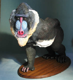 mandrill.jpg