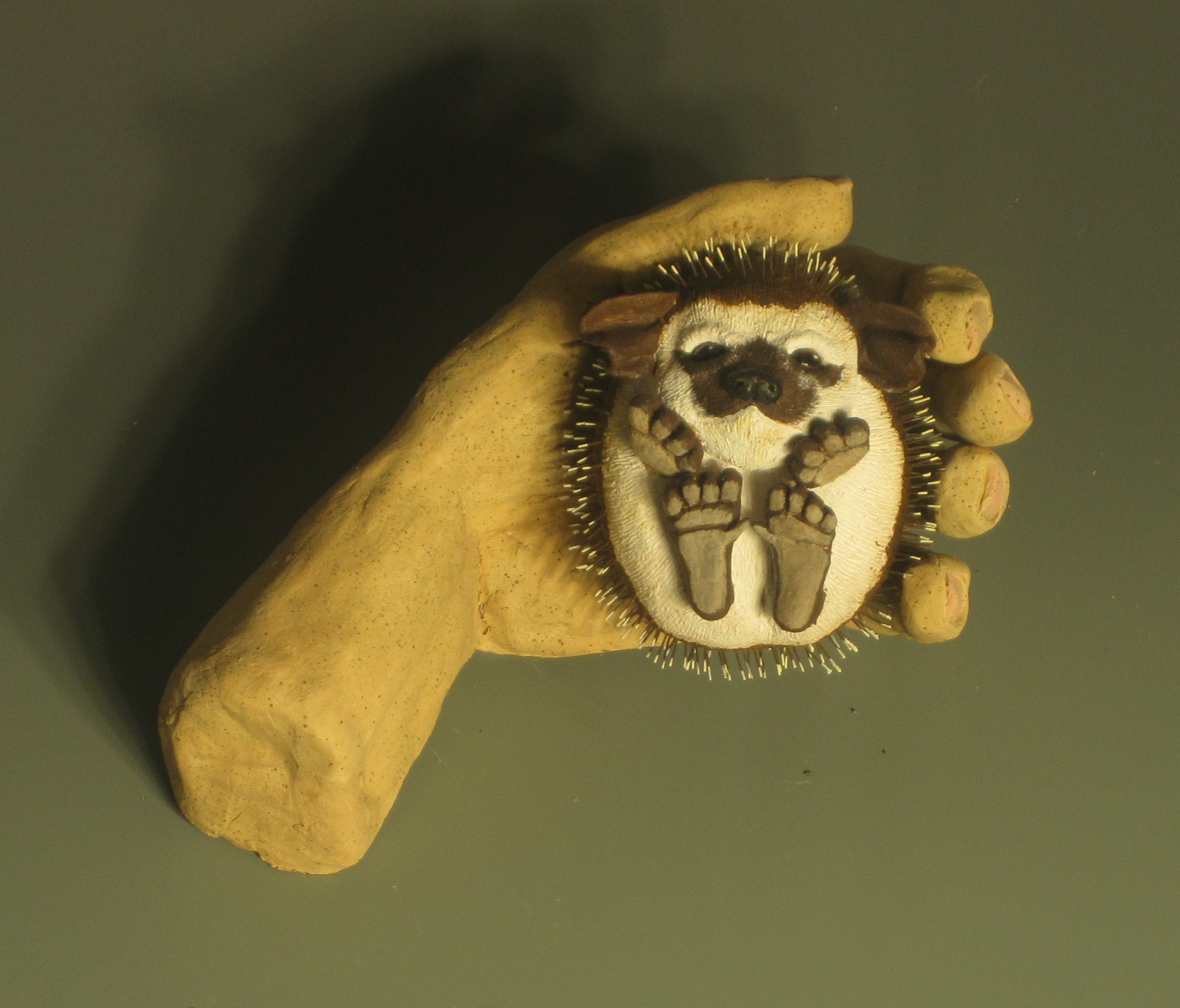 hedgehog.jpg