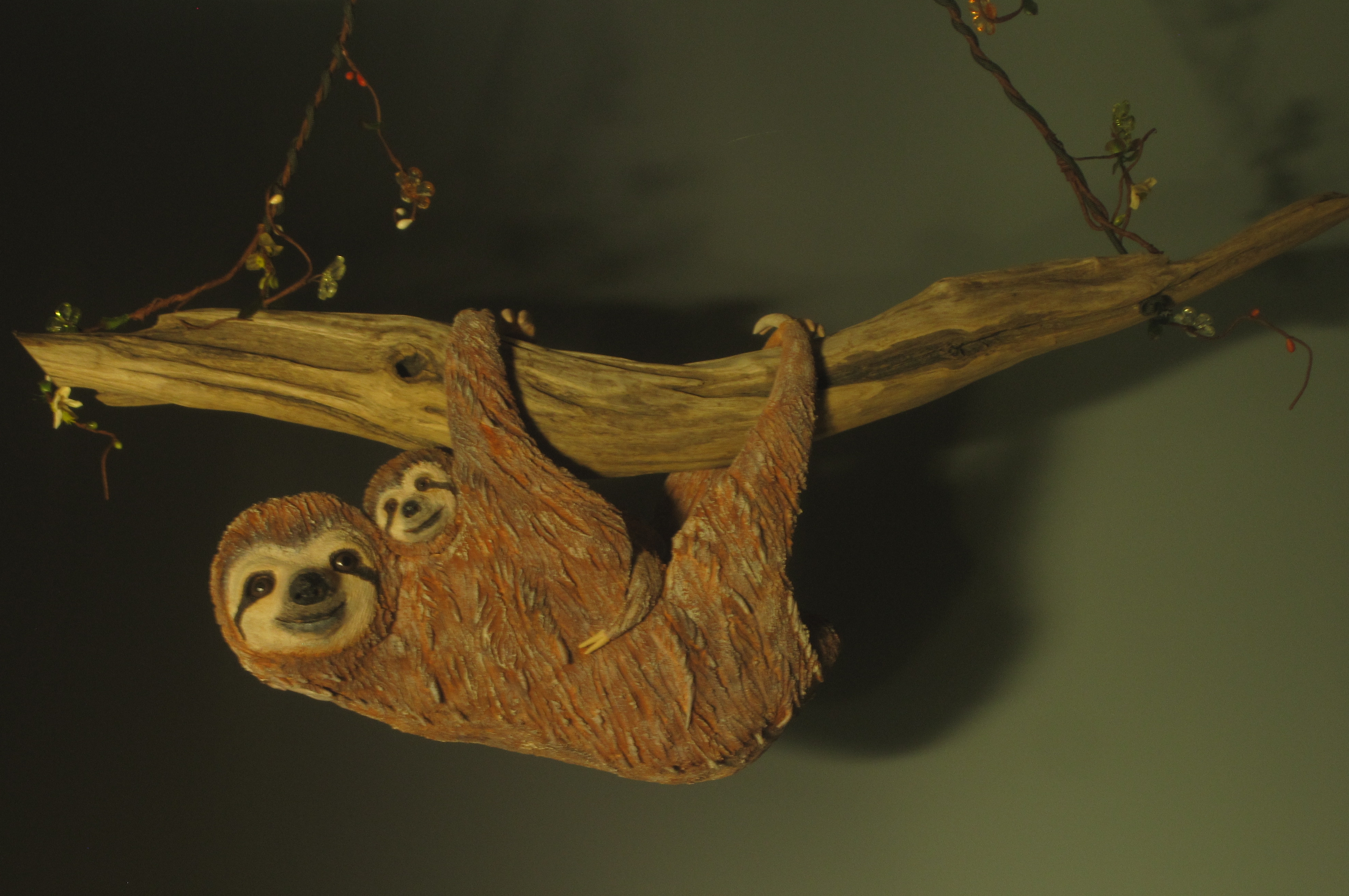 sloth.jpg