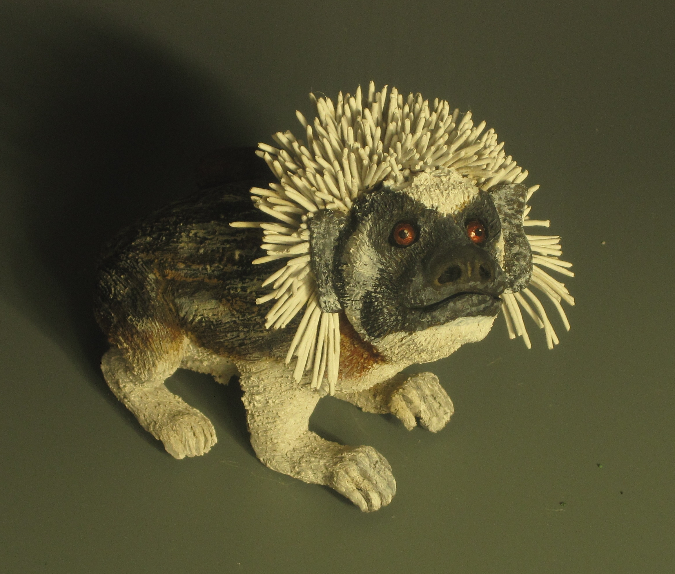 tamarin.jpg