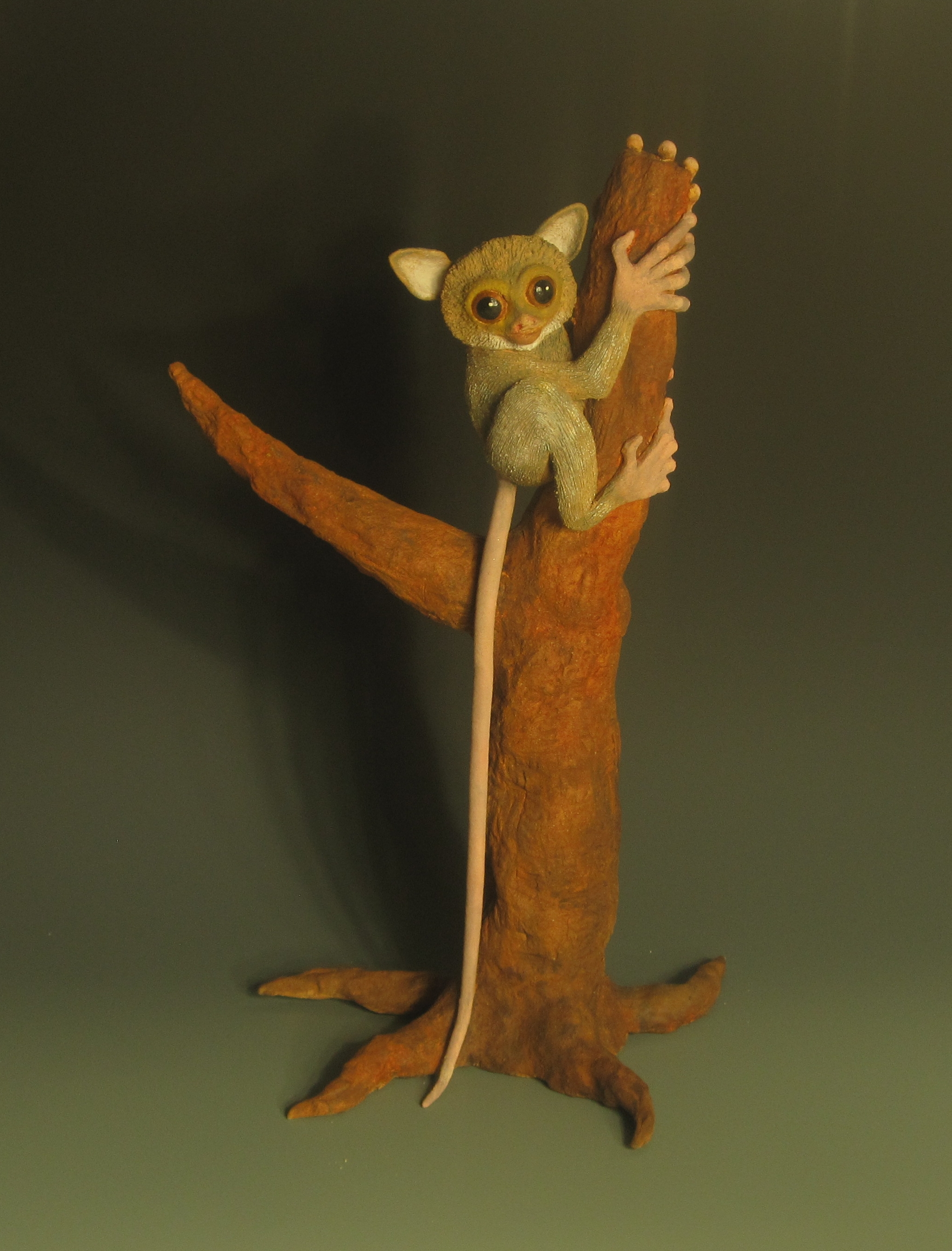 tarsier.jpg